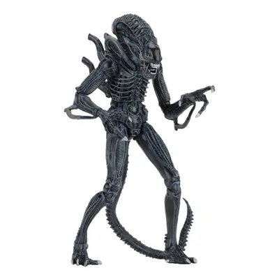 Alien Warrior Ultimate Blue Edition Poseable Figure from Aliens -...