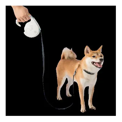 Pet Telescopic Traction Rope Security Lock Tensile Travel Leash