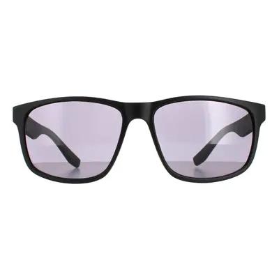 Calvin Klein Sunglasses CK19539S Matte Black Smoke Grey