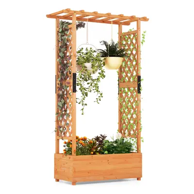 Raised Garden Bed cm Wooden Planter Box w/ Trellis &Hanging Roof