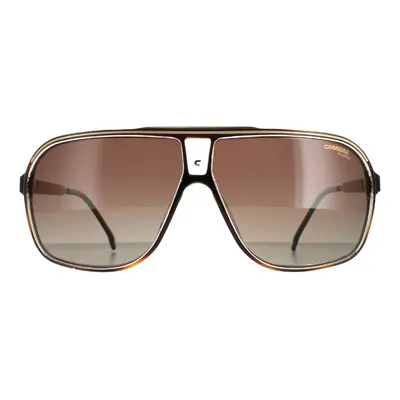 Carrera Sunglasses Grand Prix 086 LA Havana Brown Gradient Polarized