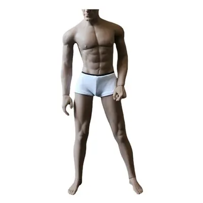 3.0 1:6 Scale Action Figure Male Body Toys Removable Human Nude Muscular Body JOK-11C