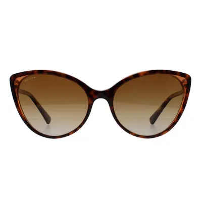 Bvlgari Sunglasses BV8246B 5496T5 Havana Brown Transpar Brown Gradient Polarized