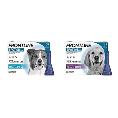 Spot On Flea & Tick Treatment for Medium Dogs (10-20 kg) - Pipettes & Spot On Flea & Tick Treatm