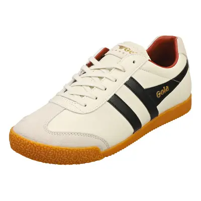 (12) Gola Harrier Mens Classic Trainers in Off White Black