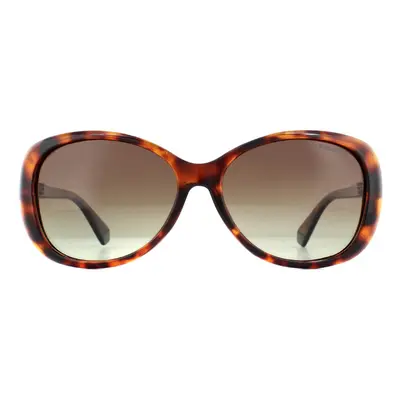 Polaroid Sunglasses PLD 4097/S LA Havana Brown Gradient Polarized