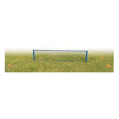 Champion Sports NSTSET Soccer Tennis Net, Blue