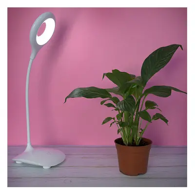 LED Eye Protection Desk Lamp Student Desk Dormitory Bedroom Bedside Study Lamp Reading Work Ligh