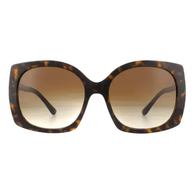 Dolce & Gabbana Sunglasses DG4385 502/13 Havana Brown Gradient Dark Brown