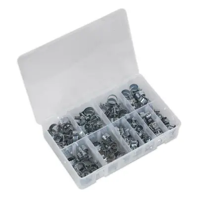 100 Piece Mini Hose Clip Assortment - Zinc Plated Clips - Partitioned Box