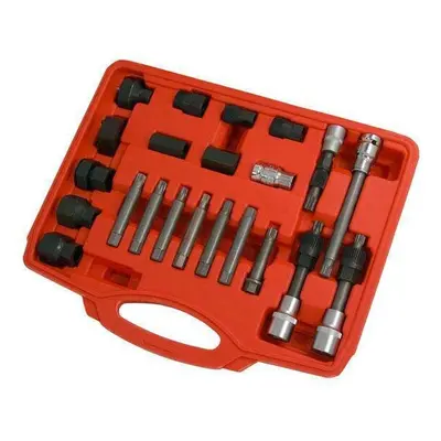 30pcs Complete Alternator Repair Kit Set (Geniune Neilsen CT3377)