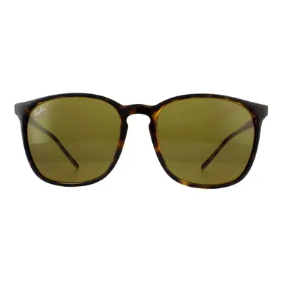 Ray-Ban Sunglasses RB4387 710/73 Tortoiseshell Brown