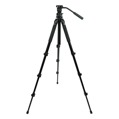 Celestron Regal Premium Tripod