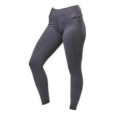 (14 UK, Dark Grey) Dublin Womens/Ladies Cool It Everyday Horse Riding Tights