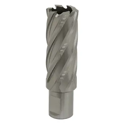 24mm x 50mm Depth Rotabor Cutter - M2 Steel Annular Metal Core Drill 19mm Shank