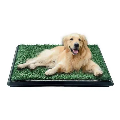 Dog toxicial Grass Puppy Pad Portable Dog Potty