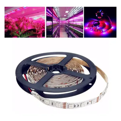 (5M) 1M/2M/3M/4M/5M SMD5050 Non-Waterproof LED Grow Lights Full Spectrum Plant Strip Lamp DC12V