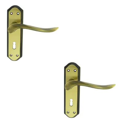 2x PAIR Curved Handle on Sculpted Lock Backplate x 48mm Florentine Bronze