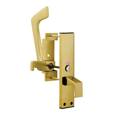 Dual Handed Disabled Toilet Handle Set DDA Compliant Gold Anodised Aluminium