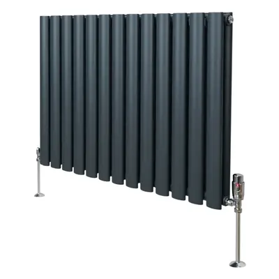 (600mm x 780mm, Anthracite Grey) Oval Column Designer Radiator & TRV Valves