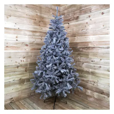 240cm / 8ft Colorado Grey Spruce Wrapped with Tips