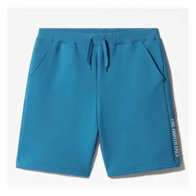 (Banff Blue, L) The North Face Mens Zumu Shorts