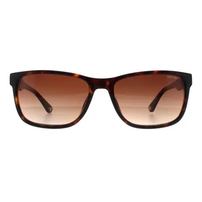 Police Sunglasses SPLB40N Arcade 0722 Shiny Dark Havana Brown Gradient