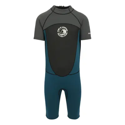 (S-M, Grey/Moroccan Blue) Regatta Mens Shorty Wetsuit