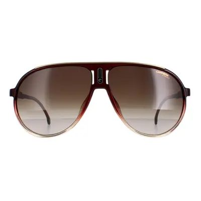 : Carrera Sunglasses Champion 65/N 7W5/HA Burgundy Shade Brown Gradient