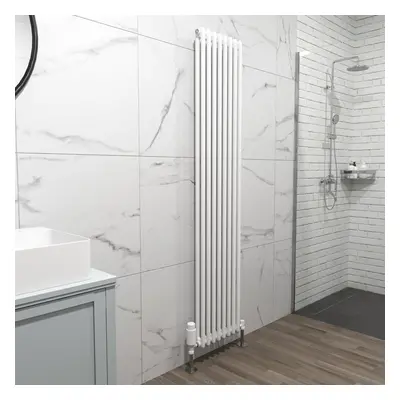 Nes Home X mm Double Column White Traditional Radiator