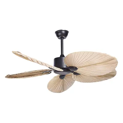 Ceiling Fan MAMMOTH With Remote Brown