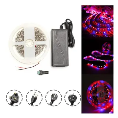 (UK Plug) DC12V 5M Red:Blue 3:1 Waterproof Full Spectrum Grow LED Strip Lights kit for Plant