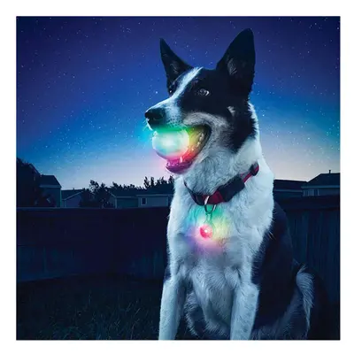 Dog Teeth Training Electronic LED Color Flashing Luminous Grinding Ball