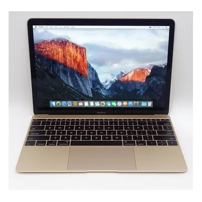 Apple MacBook 12" Retina Mid