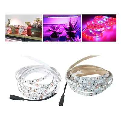 (Yes) 3M SMD5050 Red:Blue 5:1 Full Spectrum LED Grow Strip Hydroponic Plant Light Kit+Power Adap