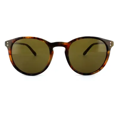 Polo Ralph Lauren Sunglasses 501773 Havana Brown