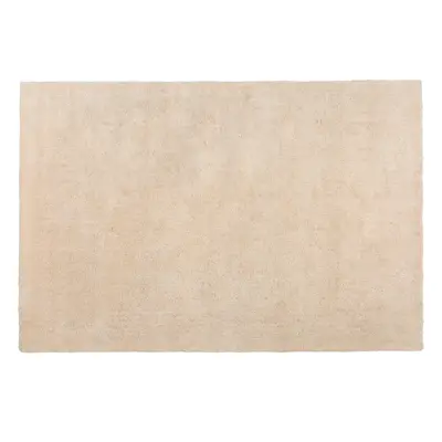 Shaggy Area Rug x cm Sand Beige DEMRE