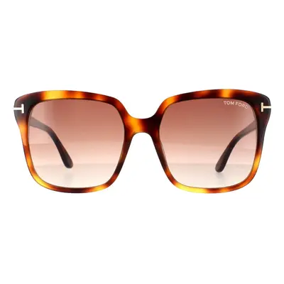 Tom Ford Sunglasses Faye FT0788 53F Blonde Havana Brown Gradient