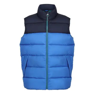 (3XL, Strong Blue/Navy) Regatta Mens Vintage Colour Block Gilet