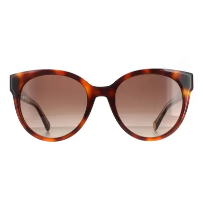 Tommy Hilfiger Sunglasses TH 1885/S 05L HA Havana Brown Gradient