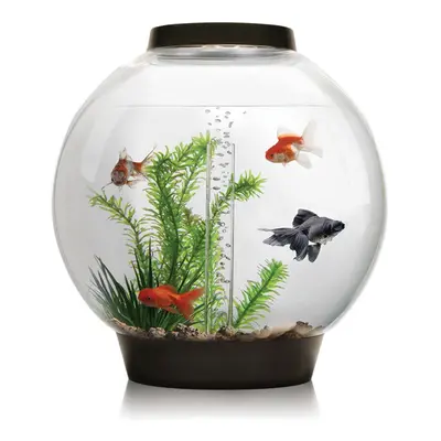 biOrb Classic 30L Aquarium in Black with MCR LED Lighting and Heater Pack