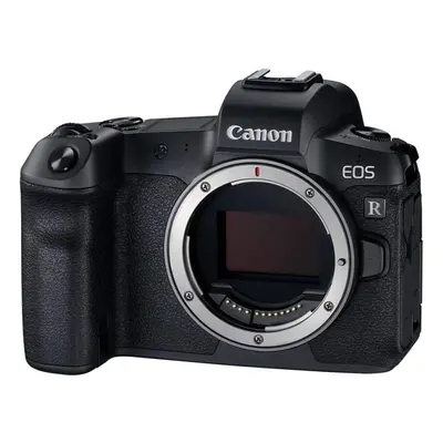 Canon EOS RP with RF 24-105mm f/4L IS USM Lens (Without R Adapter) Mirrorless Camera