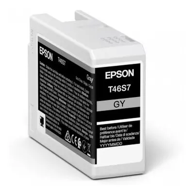 Epson C13T46S700 (T46S7) Ink cartridge gray, 25ml