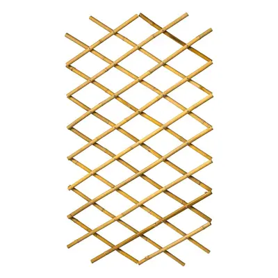 Nature Garden Trellis 100x200 cm Bamboo