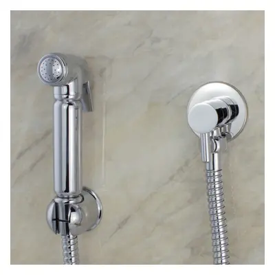 Modern Chrome Handheld Bidet Douche Toilet Spray Kit