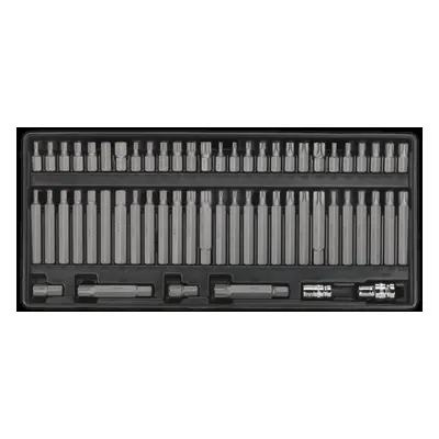 Tool Tray with Security TRX-Star*/Hex/Ribe/Spline Bit Set 60pc