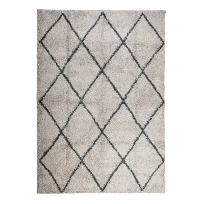 (beige and anthracite, x cm) vidaXL Shaggy Rug Floor Mat Fluffy Rug Area Rug PAMPLONA High Pile 