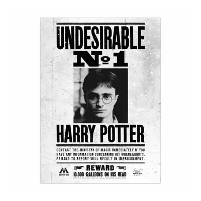 (80cm x 60cm, Black/White) Harry Potter Undesirable No. Framed Canvas Print