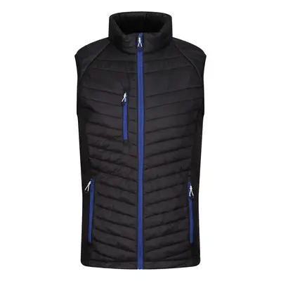 (M, Black/New Royal) Regatta Mens Navigate Quilted Hybrid Gilet