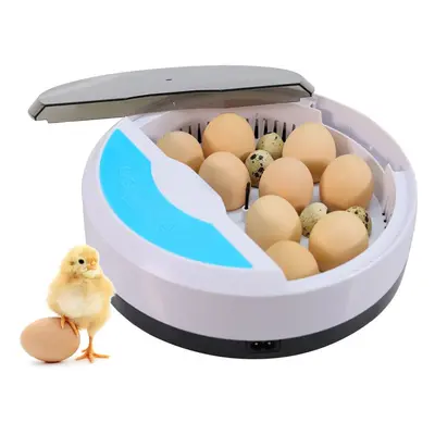 Mini Brooder Small Chicken Bird Egg Hatchers Incubator for Quail Parrot Duck